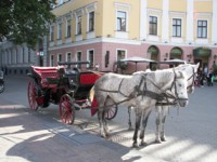 /album/foto-transport-oruzhie-kukly-/g-odessa-i-belgorod-dnestrovskij-677-jpg/
